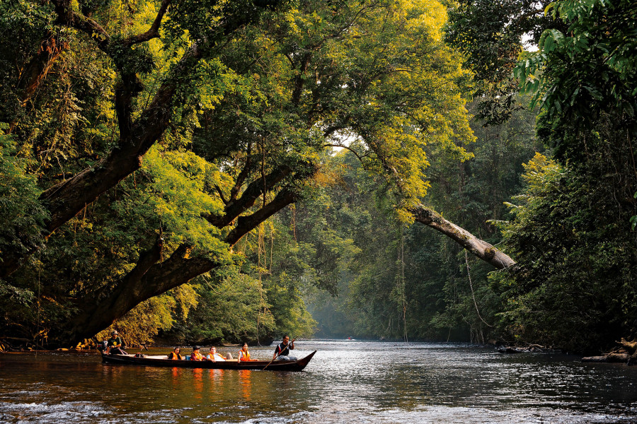 The Enchanting Taman Negara Day Tour National Park