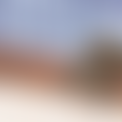 How long does pest control last after one full treatment