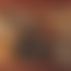 Pest control service targeting termites in Melaka