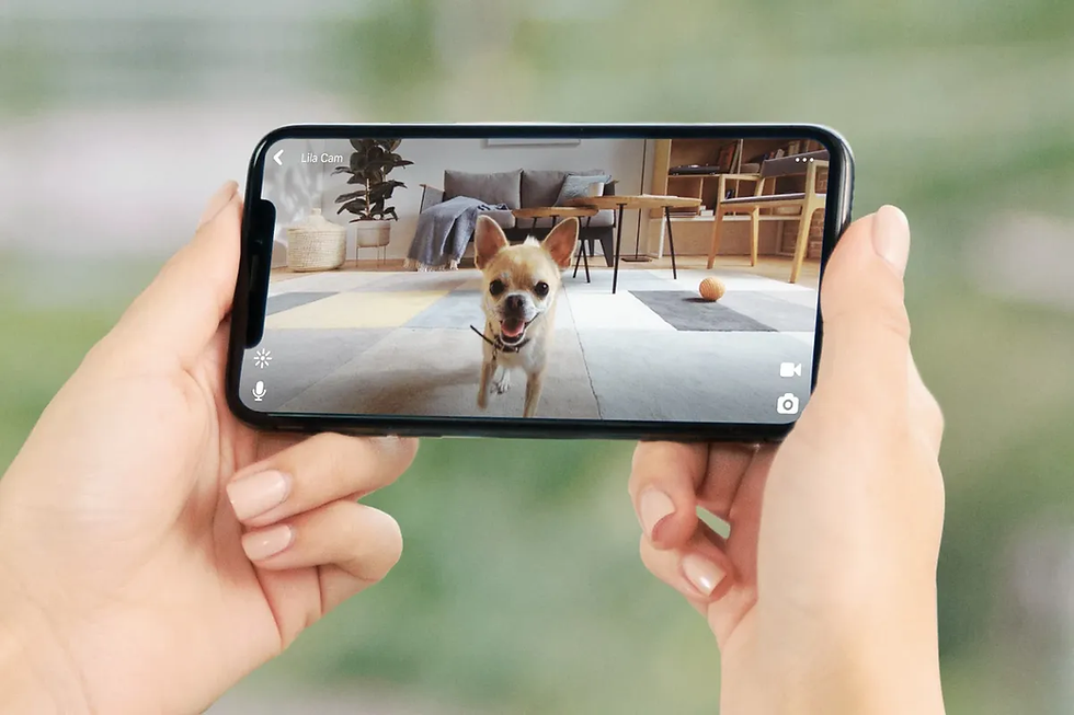 CCTV camera Malaysia price under RM200 with 2K resolution for pet view