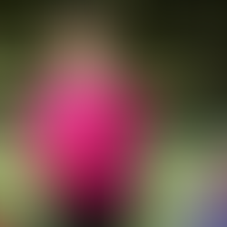 Portable oxygen machine rental for travel in Perak