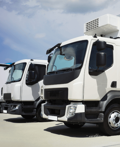 Two white refrigerated trucks parked on a sunny day, set against a clear blue sky. The trucks have visible cooling units on top.