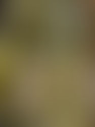 ジャー坊を応援しています！