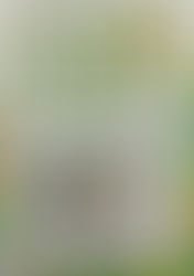 第３回アップサイクルコンテスト開催！