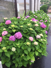 ハローワークにて