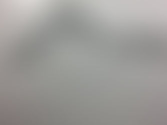 Dominik Gussmann: Safe Confinement