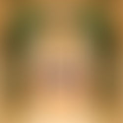 아시아 최고의 바, 마카오에 모이다: Asia’s 50 Best Bars 2025 at Wynn