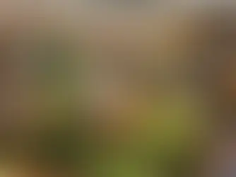 PARKROYAL COLLECTION Marina Bay: Discovering Tranquility in the Heart of Singapore