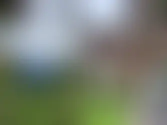 Faloria Mountain Spa Resort in Cortina D'Ampezzo