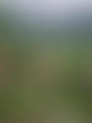 줄리아의 호텔 노트를 공개하며,