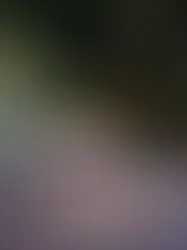 Raffles Bali: Luxurious Retreat in the Nature