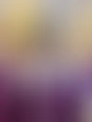 A50B Female Chef's Gala