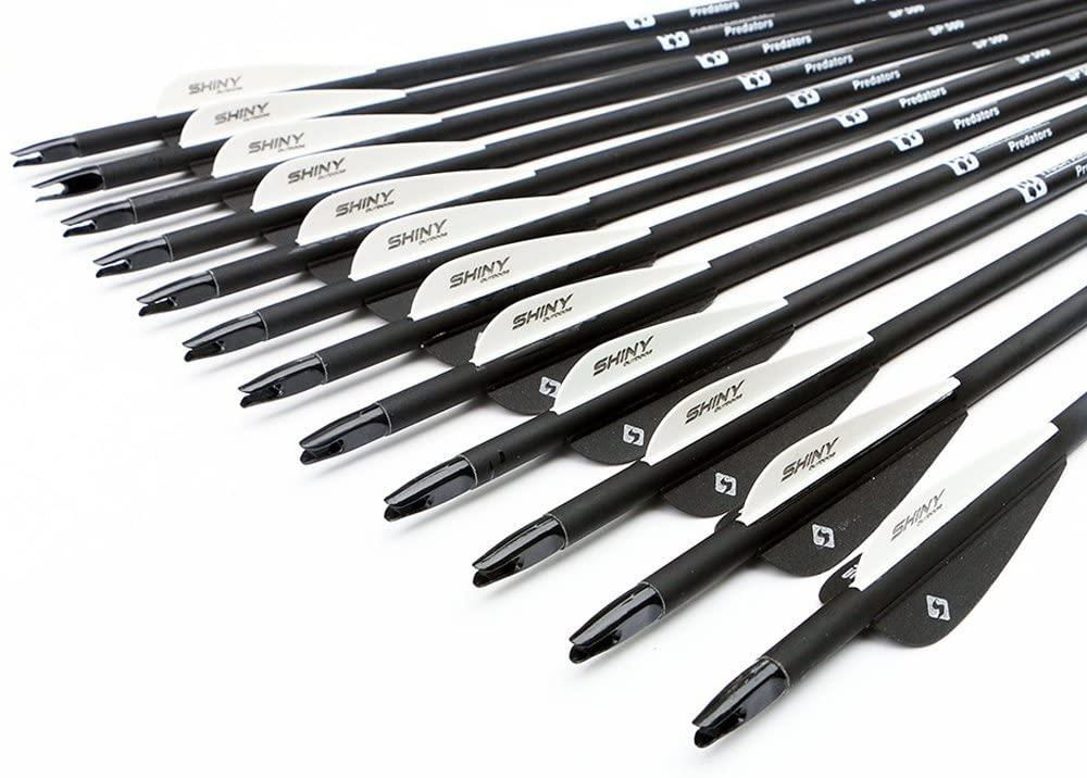 30' Carbon Arrows w/Removable Tips (Pack of 12)