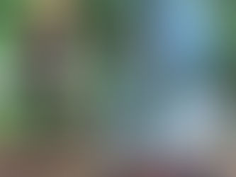 Portable Fyre  2022 [New]