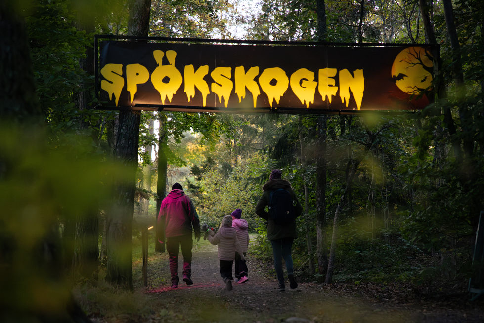 Spökskogen - Nossan Ljusfestival (1).jpg