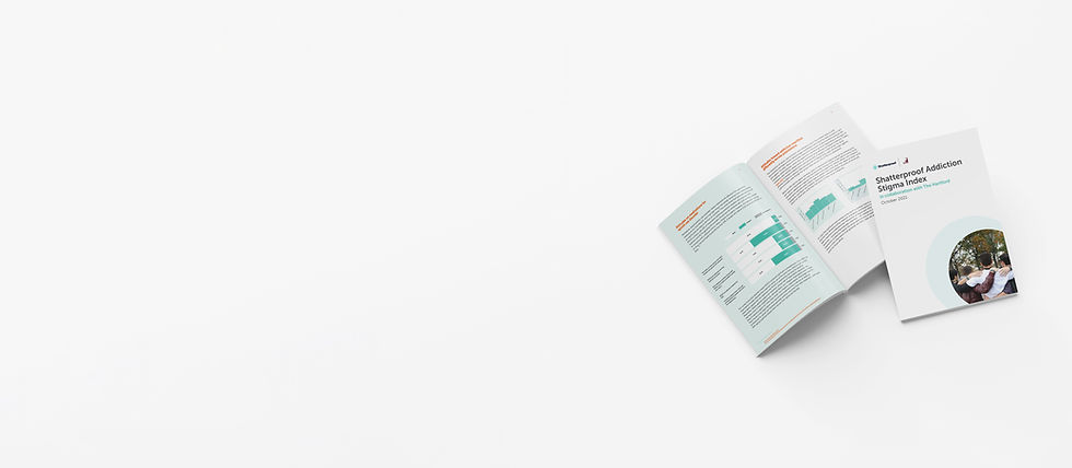 SP_Index_Report_Mockup_2.jpg