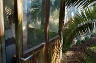 City jungle