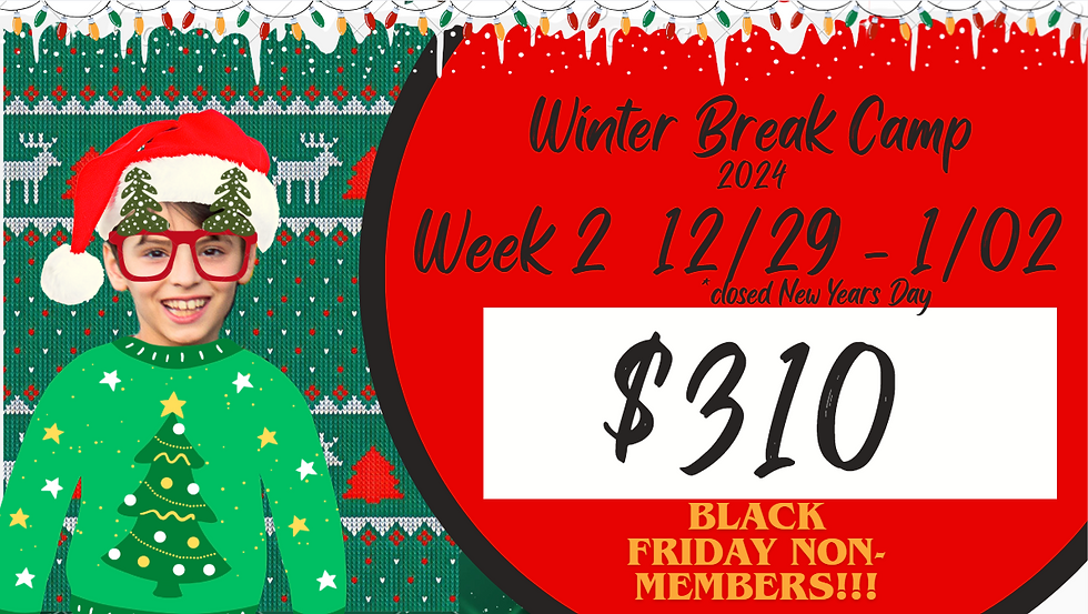 Non-Member Winter Break Camp Weeks 12/29-1/02 (Black Friday)