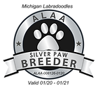 Michigan Silver Paw Logo 2020.png