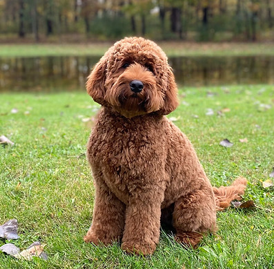 millie6mo 2.jpg