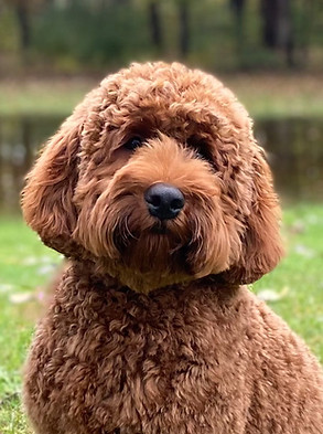 millie6mo 2.jpg