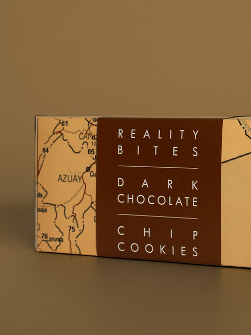 REALITY BITES v2.jpg