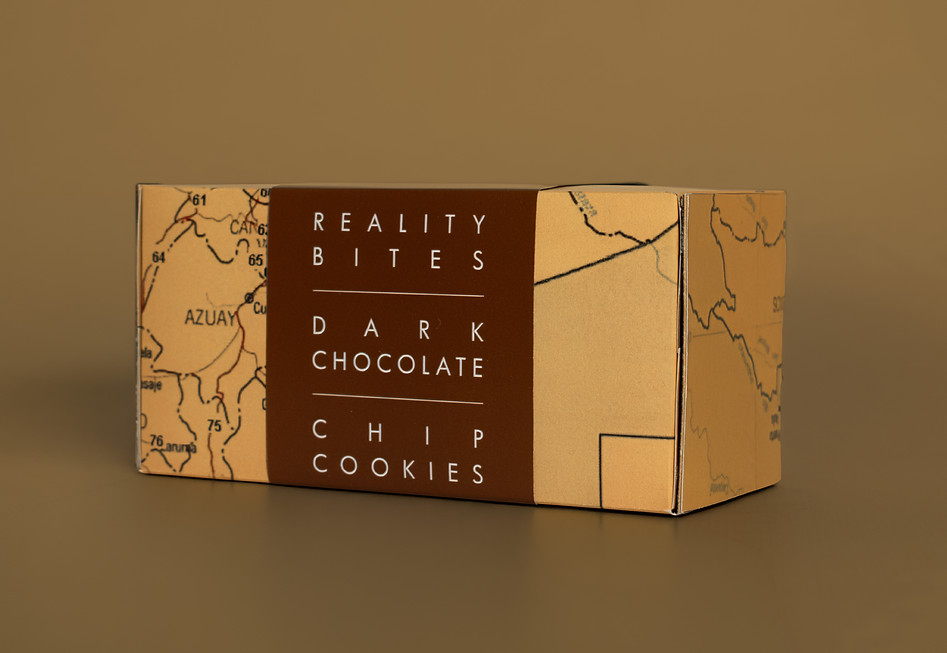 REALITY BITES v2.jpg