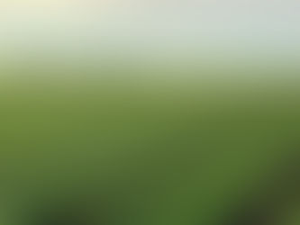 Paying farmers proves most cost-effective way to conserve Colorado River, study says