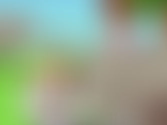 日本の一般社団法人GCODE(Global Campaign to Overcome Darwinism and Evolution)