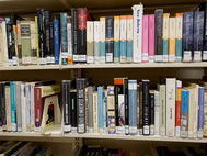 Nevada’s split government keeps status quo for libraries