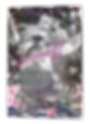 s2.png