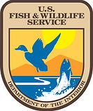 USFWS Logo CMYK LG.jpg