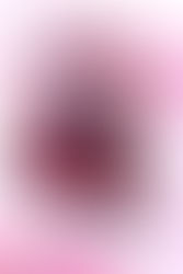 Red Velvet Pancake with Homemade Raspberries & Blackberries Sauce