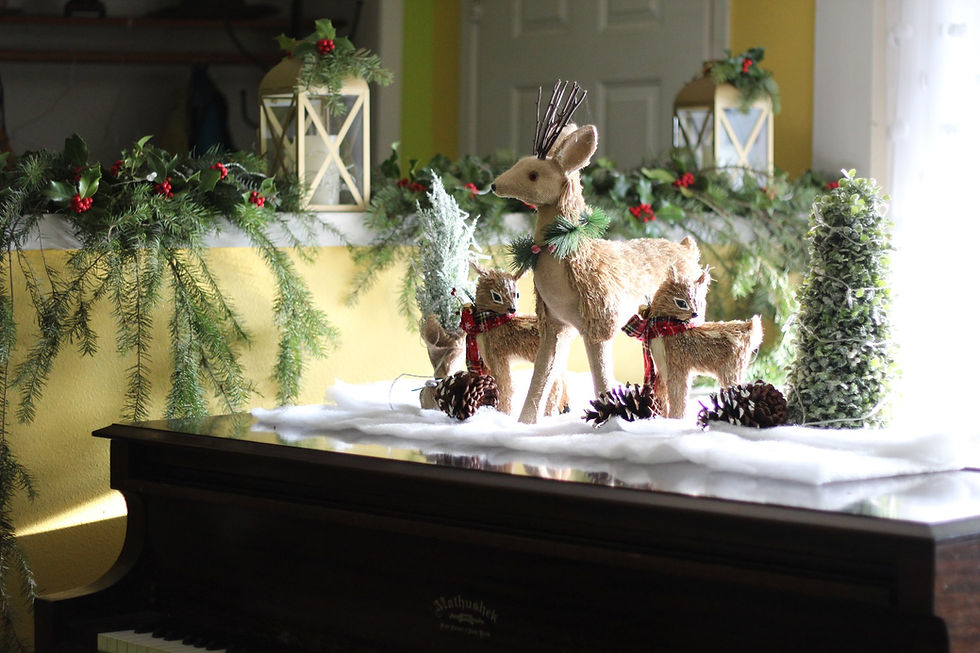 reindeer for christmas decor