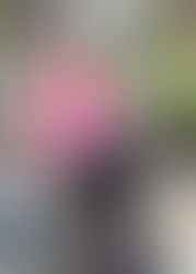 Rock The Day With Bold Color Hoodie