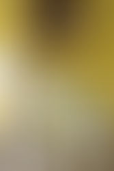 Spring Farm House Decor