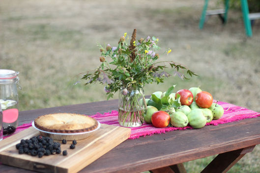 Harvest Time & Mixed Berries Pie Recipe
