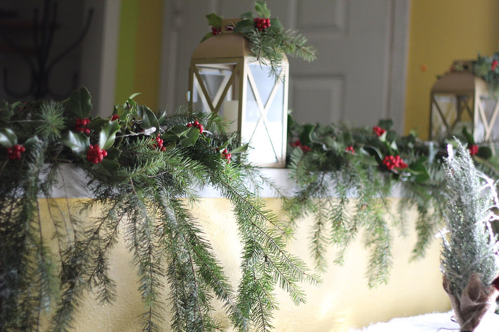 garland for Christmas