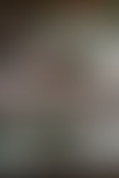 Walnut Speculaas Cookies Recipe