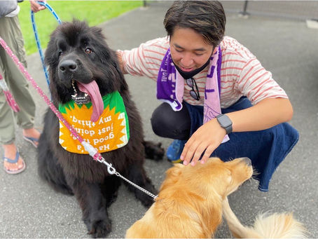 11月3日はワンコの日！