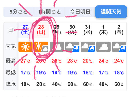 久しぶりの晴れ試合！？