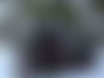1st Studio Siberian Mouse Masha Msh 45 Fullhd100