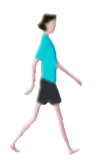 shahwalk.gif