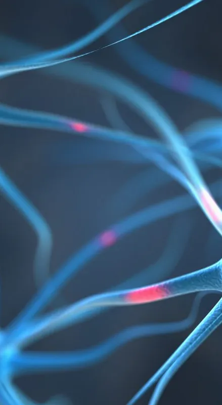 Wendy Tremont King Book Report Wired For Story Audiobook Narration