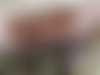 JBL新型SUMMIT-PUMORIを体験