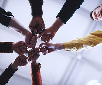 Fists in Solidarity_edited.jpg