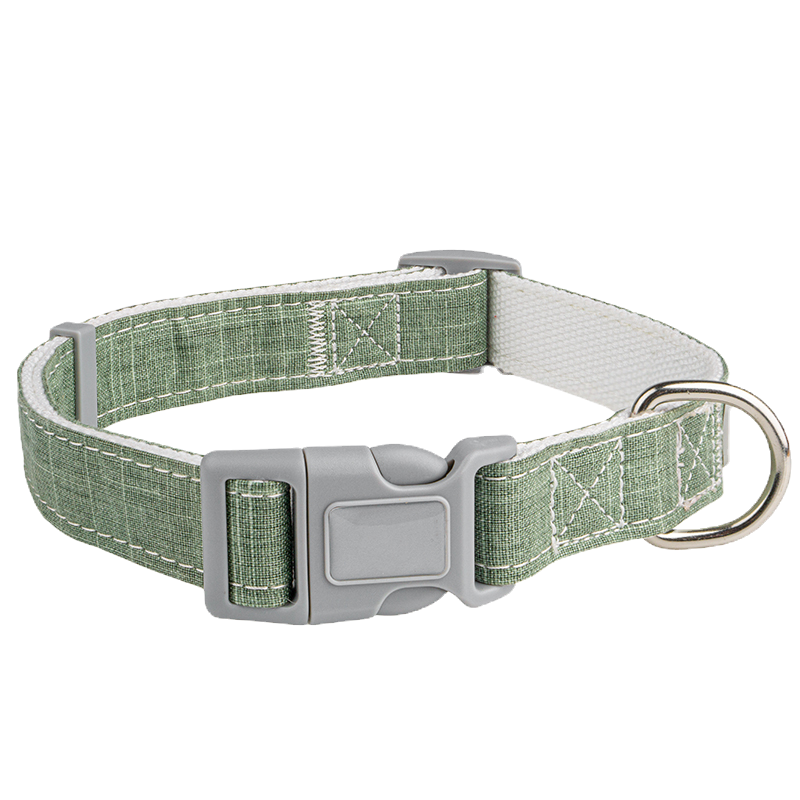 BAM!Boo Dog Collar