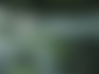 Οι κρίσεις πανικού ,δεν θα κρατήσουν για πάντα αν μιλήσεις για αυτές σε κάποιον ειδικό...