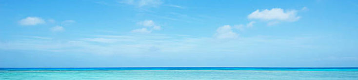 istockphoto-461881709-612x612.jpg