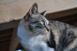Un regard